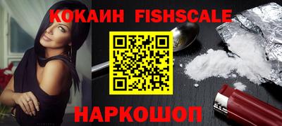 индика Гай