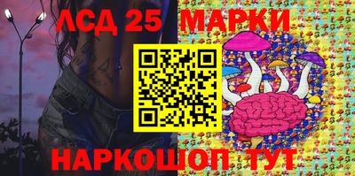 индика Гай