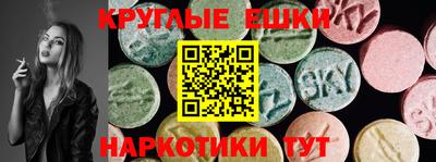 индика Гай