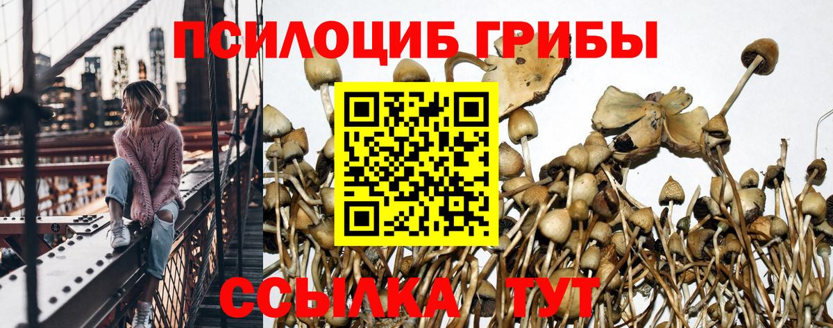 Галлюциногенные грибы ЛСД Михайловск