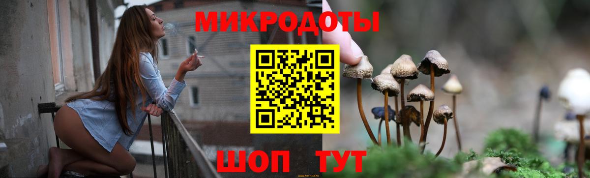 Галлюциногенные грибы Magic Shrooms  Вход с VPN  Михайловск 