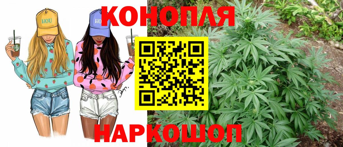 Марихуана планчик  Канабис конопля  Каннабис ГИДРОПОН  Михайловск  Бошки марихуана семена  Вход с VPN 